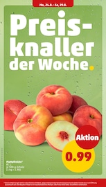 Bio im Penny Prospekt in Gronau Aktueller Penny Prospekt mit Bio, "Wer günstig will, muss Penny.", Seite 4