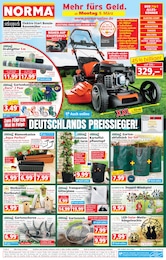 Nistkasten Angebot im aktuellen Norma Prospekt auf Seite 1