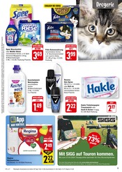 Aktueller EDEKA Prospekt mit Katzenfutter, "Aktuelle Angebote", Seite 9