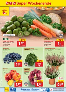 Pflanzen im aktuellen Netto Marken-Discount Prospekt (Hannover) Pflanzen im Netto Marken-Discount Prospekt "Aktuelle Angebote" mit 73 Seiten (Hannover)