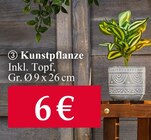 Woolworth Renningen - Kunstpflanze Angebot im Prospekt Kunstpflanze bei Woolworth im Renningen Prospekt für 6,00 €