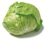 Eisbergsalat  im aktuellen Netto mit dem Scottie Prospekt für 0,99 €