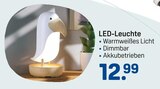 LED-Leuchte Angebote bei Rossmann Essen für 12,99 €