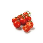 Cocktailstrauchtomaten bei Lidl im Prospekt "" für 1,97 €