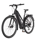 E-Trekking Bike Viator N 100 Angebote bei AUTOPLUS Halberstadt für 2.699,00 €