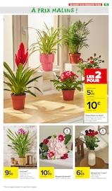 Hortensia Angebote im Prospekt "Carrefour market" von Carrefour Market Hortensia Angebote im Prospekt "Carrefour market" von Carrefour Market auf Seite 17