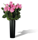 Bouquet de petites roses - Lidl à Quimper Bouquet de petites roses en promo chez Lidl Quimper à 1,99 €