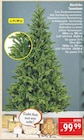 Künstlicher Tannenbaum Angebote bei Marktkauf Fürth für 99,99 €
