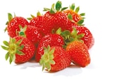 Erdbeeren von GO Regio für 3,19 € bei Netto mit dem Scottie im Angebot Erdbeeren von GO Regio im aktuellen Netto mit dem Scottie Prospekt