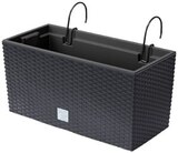 Blumenkasten im Angebot bei Penny in Saarbrücken Blumenkasten Angebote bei Penny Saarbrücken für 6,99 €
