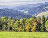 Dein Lieblingssalat Cremiger Karottensalat im Angebot bei Marktkauf in Kirchheim Dein Lieblingssalat Cremiger Karottensalat Angebote von Wild bei Marktkauf Kirchheim für 1,99 €