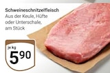 Schweineschnitzelfleisch Angebote bei GLOBUS Rostock für 5,90 €