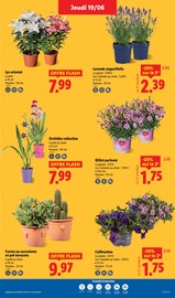 Parfum Angebote im Prospekt "Fan de l'été" von Lidl Parfum Angebote im Prospekt "Fan de l'été" von Lidl auf Seite 29