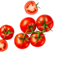 Cocktail-rispen-tomaten im Angebot bei ALDI Nord in Gifhorn Cocktail-rispen-tomaten Angebote bei ALDI Nord Gifhorn für 1,59 €