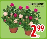 Topfrosen Duo Angebote bei EDEKA Kempten für 2,99 €