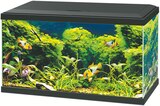 Maxi Zoo - Aquarium 60 LED : offre du catalogue Promo Aquarium 60 LED à 59,99 € dans le catalogue Maxi Zoo "Plongez dans un monde magique"