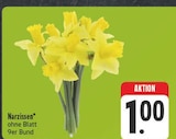 Aktuelles Narzissen Angebot bei E center in Dresden ab 1,00 €