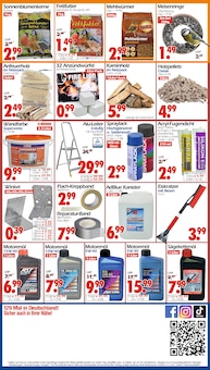 Farbe im Wreesmann Prospekt "DEIN SAISON- & SONDERPOSTENMARKT!" mit 8 Seiten (Cottbus)