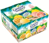 Sorbet - CARESSE ANTILLAISE dans le catalogue Colruyt