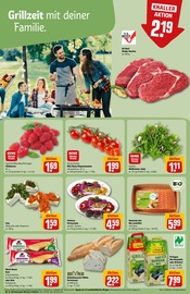 Ähnliche Braunkohlebriketts Angebote im Prospekt "Dein Markt" von REWE in Ettlingen Ähnliche Angebote wie Braunkohlebriketts im Prospekt "Dein Markt" auf Seite 21 von REWE in Ettlingen