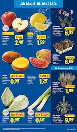 Lidl Mango im Prospekt 