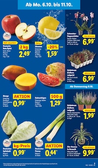 Pflanzen im Lidl Prospekt "LIDL LOHNT SICH" mit 70 Seiten (Regensburg)