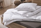 Matratzentopper im Angebot bei Lidl in Hanau Matratzentopper Angebote von Livarno Home bei Lidl Hanau für 69,99 €