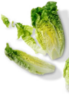 Aktuelle Salat Angebote bei Kaufland in Nürnberg Aktuelles Mini-Romanasalat Angebot bei Kaufland in Nürnberg ab 0,79 €