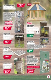 Tierbedarf im Kiebitzmarkt Prospekt in Celle Aktueller Kiebitzmarkt Prospekt mit Tierbedarf, "Mai-Feiertage", Seite 3