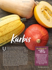 Aktueller Alnatura Prospekt mit Kürbis, "Alnatura Magazin", Seite 19