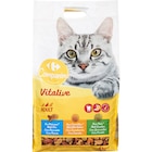 Croquettes Vitalive pour chats adultes - CARREFOUR COMPANINO en promo chez Carrefour Market Croquettes Vitalive pour chats adultes - CARREFOUR COMPANINO dans le catalogue Carrefour Market