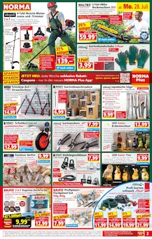 Clogs Angebot im aktuellen Norma Prospekt auf Seite 3