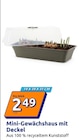 Mini-Gewächshaus mit Deckel Angebote bei Action Kiel für 2,49 €