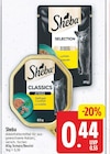 Sheba im aktuellen E center Prospekt