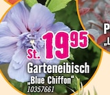 Aktuelle Blumen Angebote bei Hornbach in Dortmund Aktuelles Garteneibisch "Blue Chiffon" Angebot bei Hornbach in Dortmund ab 19,95 €