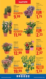 Laurier Angebote im Prospekt "XXL QUANTITÉ MAXI À PRIX MINI" von Lidl Laurier Angebote im Prospekt "XXL QUANTITÉ MAXI À PRIX MINI" von Lidl auf Seite 29