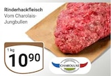 Aktuelles Rinderhackfleisch Angebot bei GLOBUS in Halle (Saale) ab 10,90 €