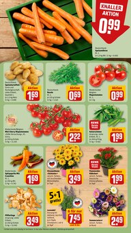Blumen im REWE Prospekt "Dein Markt" mit 24 Seiten (Offenbach (Main))