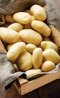 Pomme de terre nouvelle récolte - Intermarché Terroirs - Intermarché Super à Cholet Pomme de terre nouvelle récolte - Intermarché Terroirs en promo chez Intermarché Super Cholet à 1,99 €