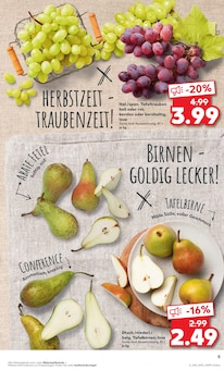 Äpfel im aktuellen Kaufland Prospekt (Mülheim (Ruhr)) Äpfel im Kaufland Prospekt "Aktuelle Angebote" mit 64 Seiten (Mülheim (Ruhr))