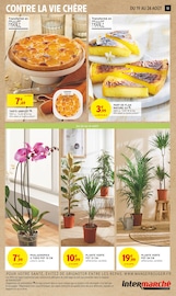 Fleurs Angebote im Prospekt "LA FIN DES VACANCES C'EST NUL ALORS ON VOUS LA REMBOURSE" von Intermarché auf Seite 13