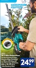 20 V Akku-Heckenschere im ALDI SÜD Prospekt 20 V Akku-Heckenschere von FERREX im aktuellen ALDI SÜD Prospekt für 24,99 €