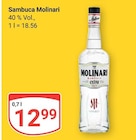 Sambuca Angebote von Molinari bei GLOBUS Braunschweig für 12,99 €