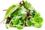 E center Göppingen - Pflücksalat Angebot im Prospekt Pflücksalat bei E center im Göppingen Prospekt für 1,49 €