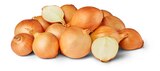 Zwiebeln Angebote bei Penny Hagen für 1,11 €