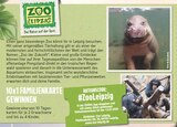 Familienkarte Angebote von Zoo Leipzig bei EDEKA Ansbach