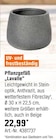 OBI - Pflanzgefäß „Lavalle“ Angebot im Prospekt Pflanzgefäß „Lavalle“ bei OBI im Prospekt für 22,99 €