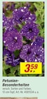 Petunien-Besonderheiten  im aktuellen toom Baumarkt Prospekt für 3,59 €