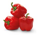 Rote Paprika im Angebot bei Penny-Markt in Rheine Rote Paprika Angebote bei Penny-Markt Rheine
