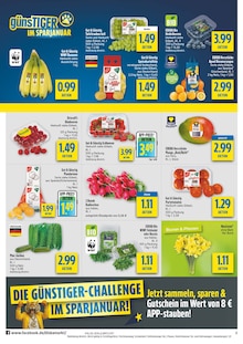 Erdbeeren im aktuellen diska Prospekt (Erlangen) Erdbeeren im diska Prospekt "alles an deinem ort." mit 12 Seiten (Erlangen)